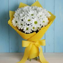 Букет цветов из:  Хризантемы в Сертолово