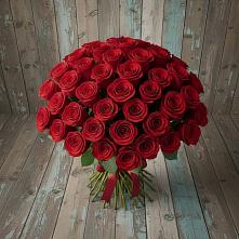 Букет 55 Красных роз Фридом #REPLACE_PRED# Сертолово