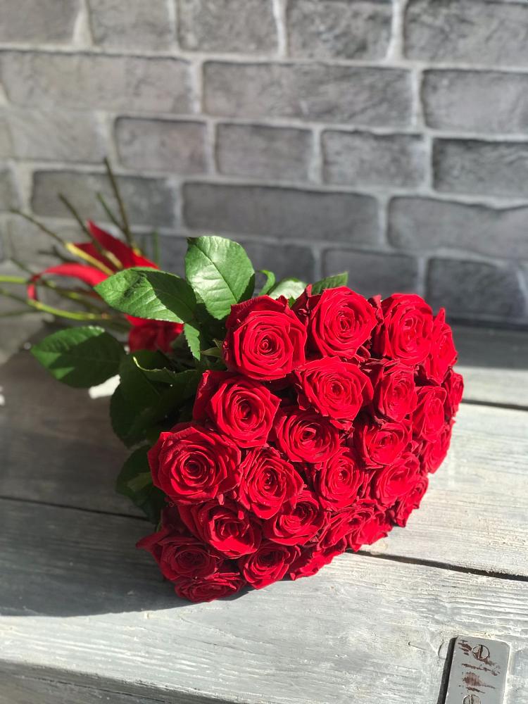 Букет Красные розы Фридом в Сертолово