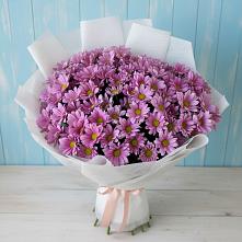 Букет цветов из:  Хризантемы в Сертолово