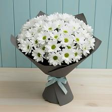 Букет цветов из:  Хризантемы в Сертолово