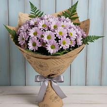 Букет цветов из:  Хризантемы в Сертолово