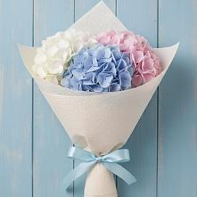 Букет цветов из:  Гортензия в Сертолово