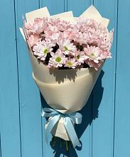 Букет цветов из:  Хризантемы в Сертолово