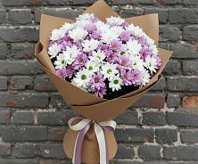 Букет цветов из:  Хризантемы в Сертолово