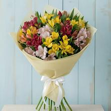 Букет цветов из:  Альстромерии в Сертолово