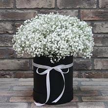 Цветочная композиция из Гипсофила в шляпной коробке в Сертолово