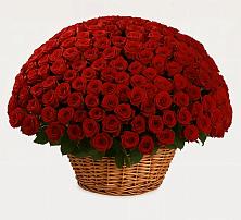 Премиум букет из: Розы #REPLACE_PRED# Сертолово